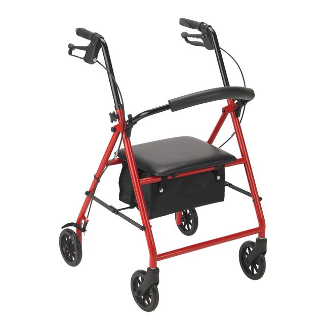 DAILYLIFE Rollator Walker歩行器 赤 Online Catalog Page 5 | El Paso, TX | Casa Medical